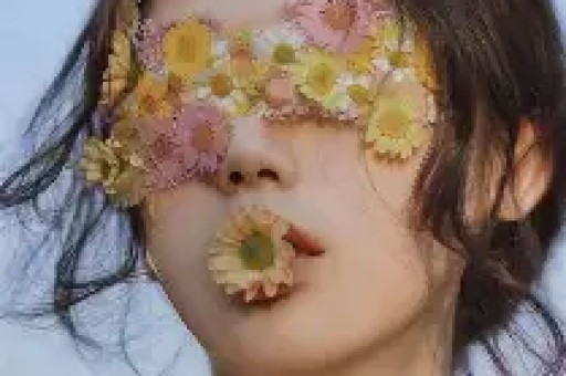 pr九尾狐狸是什么？含义、用途与辨别方法